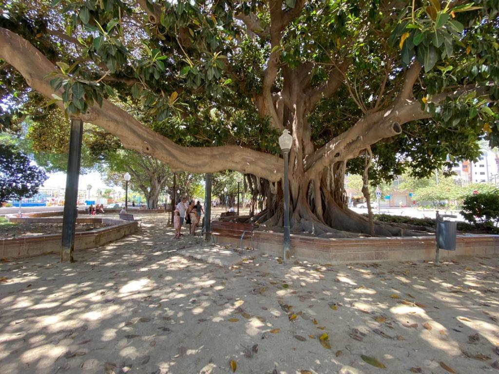 Tropical Loft Apartment Alicante Ngoại thất bức ảnh